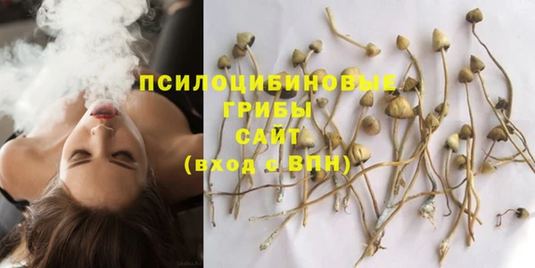 амф Арсеньев