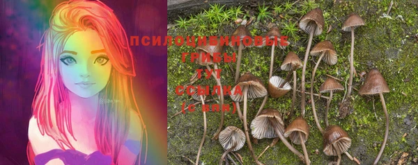 гашик Баксан