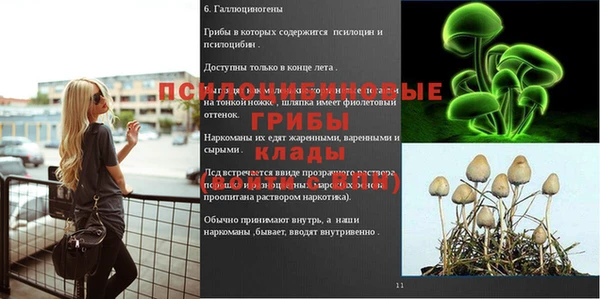 гашик Баксан