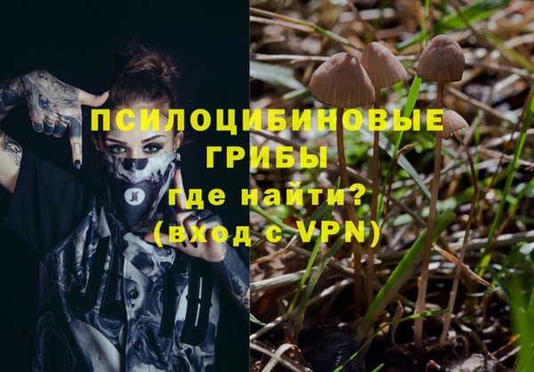 амф Балахна
